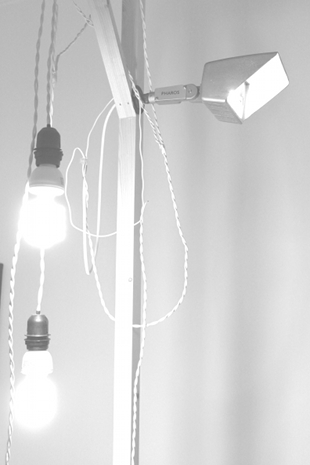 Pharos. Photo credit: Stephen Baird